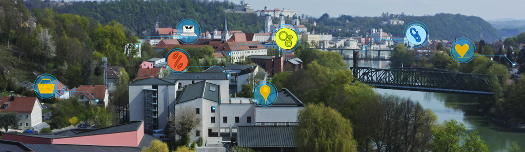 Passau from above